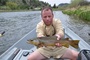 Fly Fishing Montana Brown Trout