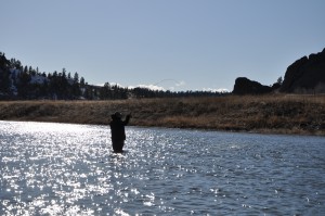 Fishing The Missouri River Montana