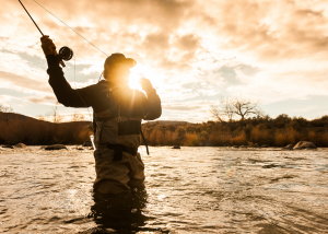 Best Fly Fishing Montana