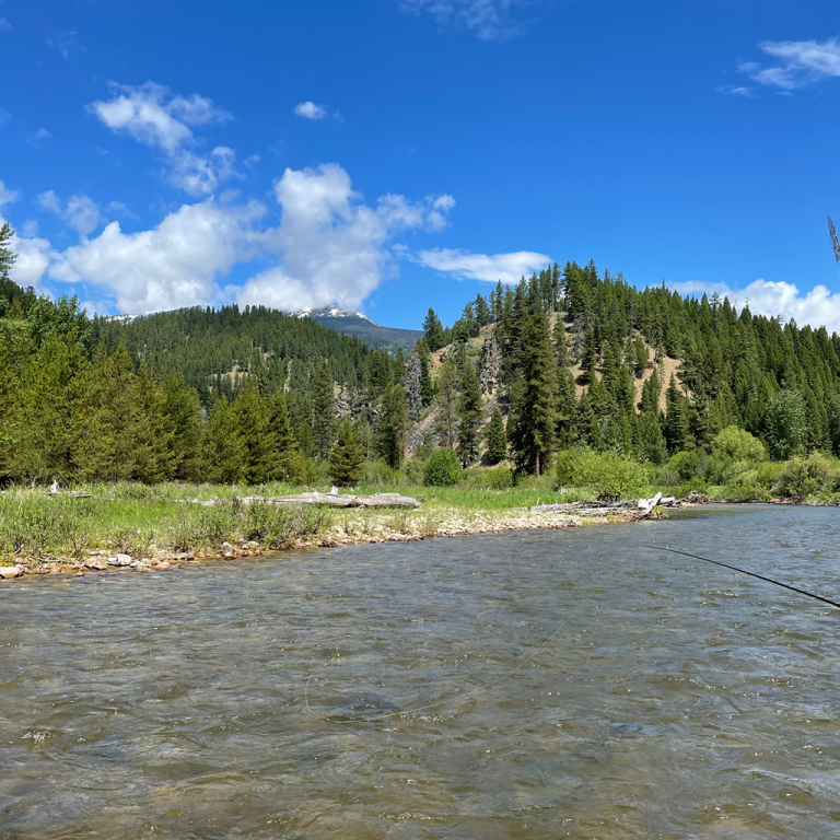 Missoula Guided Fly Fishing - Clear Creek Outfitters