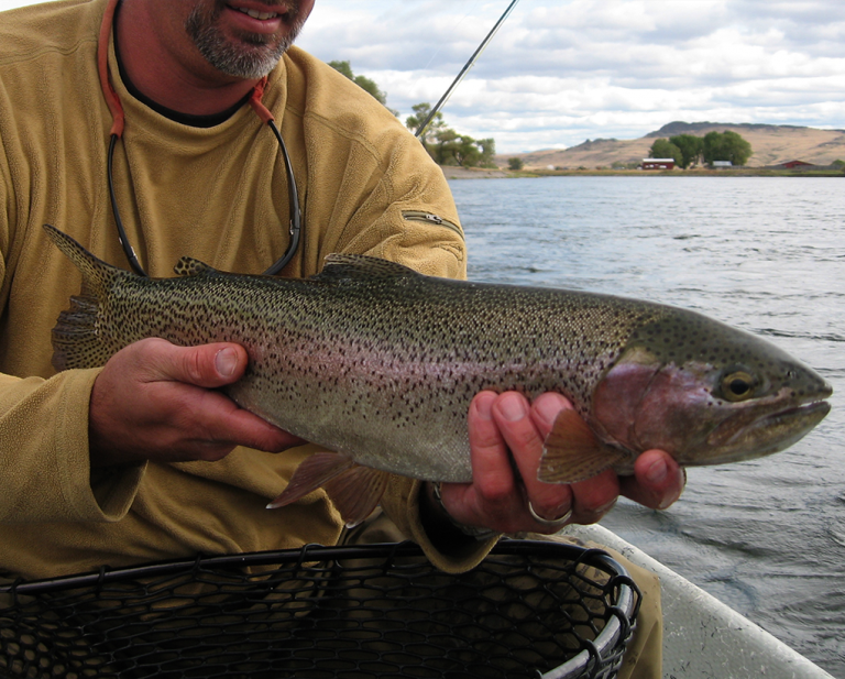 Fly Fishing Montana Blackfoot River