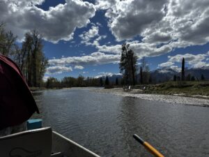 Spring fly fishing on the Bitteroot River Montana