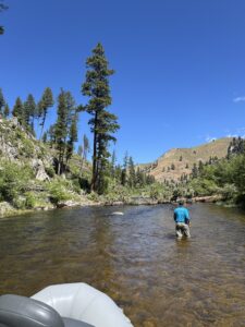 Current conditions on the local streams
